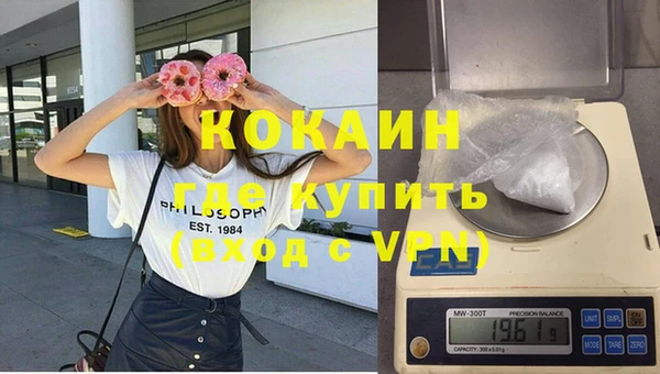 стаф Новозыбков