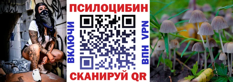 где можно купить   Иноземцево  Псилоцибиновые грибы Magic Shrooms 